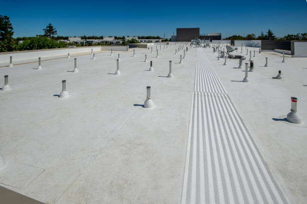 Best Cold Roofs  in Cheviot, OH